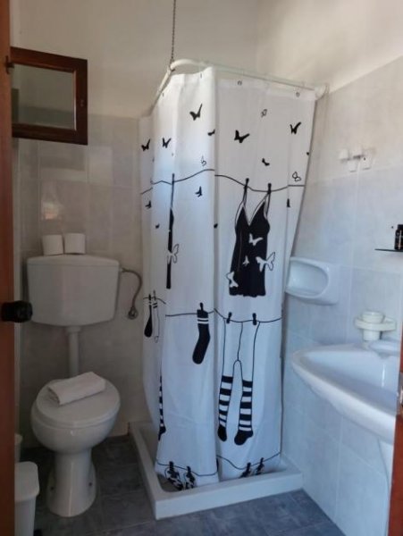 Kato Zakros Ostkreta, Kato Zakros: Drei Studios zu verkaufen, nur 5 Meter vom Meer entfernt Haus kaufen